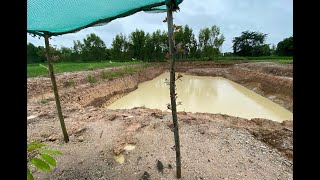 New Farmland in Thailand Revisited