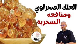 العلك الصحراوي ومنافعه السحرية للصحة والجمال نصائح وإرشادات الدكتور عماد ميزاب wasafat Dr Imad Mizab