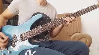 Sassafras Roots - Green Day (Raw Bass Cover)