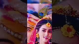 Mon Meteche Mon Moyuri || New Romantic Bangla Lofi Song || #whatssap #radhakrishna #shorts