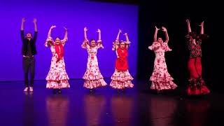 Flamenco Santa Barbara - Drumbeat of Humanity 20240615 199