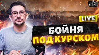 LIVE⚡️ Видео БОЙНИ под Курском: мобики РФ послали своих командиров! Крым – адские прилеты / НАКИ