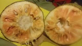 Signs of a ripe jackfruit