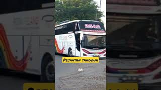 Gagahnya Bus Mercedes-Benz 2542 tronton Putra Pelangi Perkasa