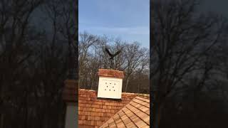 New Cedar Roof Complete, Don't Get Dizzy!