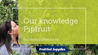 Pipfruit | Our Knowledge | Fruitfed Supplies