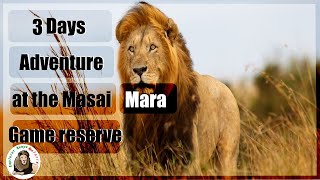 3 Days 4 Nights Kenya safari masai Mara game reserve Tour