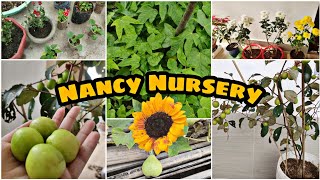 Nancy Nursery🌱 TERRACE GARDEN