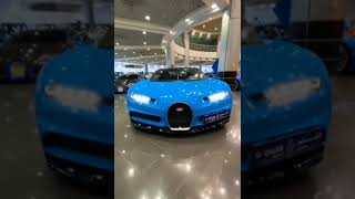 Luxury Car || Bugatti Chiron ||