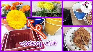 Nursery Visit Plant Shopping - Routine Vlog - The World Of R