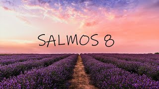 Salmos 8 - A glória divina e a dignidade do filho do homem