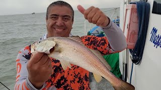 SEGUNDA PARTE!! DE LA GRAN PESCA EN -BAHÍA SAN BLAS- NO TE LO PIERDAS!!