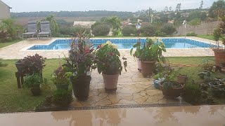 Nossa chácara que está à venda/Amanhecer com chuva e a passarada cantando/As Plantas sorrindo/