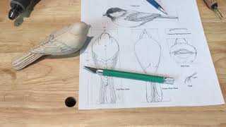 Detailing a Bird Part 2 Wood Carving