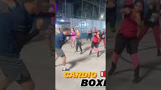 Aula Cardio Boxing