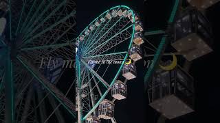 Good night! 🎡 #eleonora_martis #alghero #ferriswheel🎡 #buonanotte #goodnight #flymetothemoon