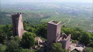 Les trois châteaux d'Eguisheim