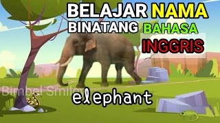 Gajah elephant, kodok frog, Laba-laba Spider. Lagu Inggris anak