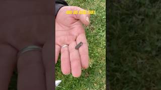 September 19, 2024 Metal Detecting