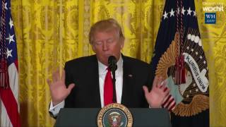 A feisty Donald Trump takes on the media during a news conference on the White House