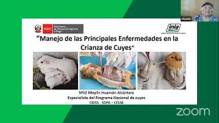 INIA: Charla virtual "Manejo de las Principales Enfermedades en la Crianza de Cuyes"