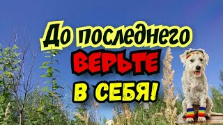 До последнего верьте в себя  #ЛАРАзвезДА