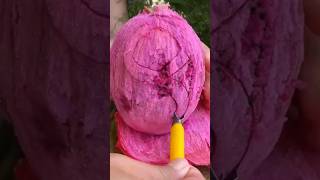 amezing dragon fruit cutting #dragon #shorts