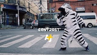 Street Zebras