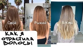 Как я отрастила волосы за 3 года и испортила их?!