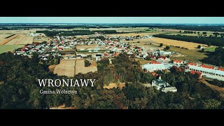 WRONIAWY - pałac