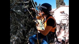 Treeclimbing restando a casa Parte 4: SRT / DRT? Quale la tecnica migliore?