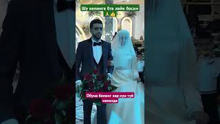 ТУЙИДА КЕЛИН ЙИГЛАП КОШИК АЙТИ ОТАСИГА#тренд #wedding #тикток #musica #music #свадьба #той #cover