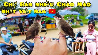 Gặp Bà Ngoại Đưa Cháu Đi Mua Chim | Phiên Chợ Chim Cảnh Lạng Sơn Đúng Dịp Quốc Khánh Việt Nam 2-9