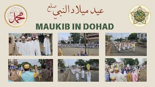 || MILAD-UN-NABI SAW || MAUKIB 1446H IN DOHAD || #dawoodibohra #eidemiladunnabi #processions #dahod