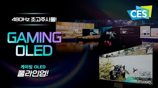 [CES 2024] OLED 최초 480Hz 초고주사율! 하이엔드 게이밍 디스플레이 | CES 2024 | LG디스플레이