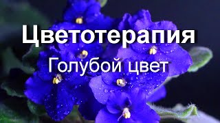 Энергия голубого цвета. Общее оздоровление организма. Релаксация