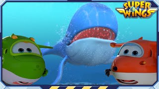 [SUPERWINGS2] Whale Tale | Superwings | Super Wings | S2 EP22