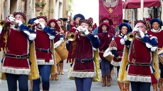 Massa Marittima: The Festa di San Cerbone