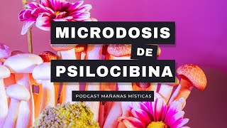 Microdosis de Psilocibina | ¿SE PUEDE HACER VIDA NORMAL?