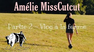 3 jours sur mon exploitation ! [VLOG - partie 2] 👩‍🌾