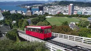 Wellington Cable Car & a Zealandia Saddleback 2 March 2023