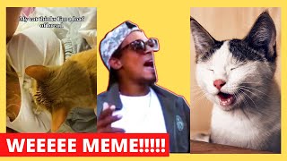 weeeee meme tiktoks compilation (try not to laugh) 😂😂😂😂