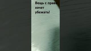 Телевизор хочет убежать! #фонк #дрифт #funny #musiс #подпишись