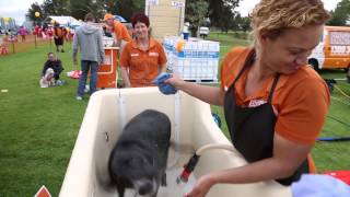 RSPCA Million Paws Walk 2014 - 30 second overview