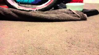 How to clean bmx tires