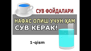 1. НАФАС ОЛИШ УЧУН ҲАМ СУВ КЕРАК. Suv ichishning foydasi