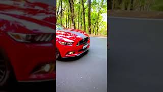 DRIVING FORD MUSTANG || #shorts #ford #mustang