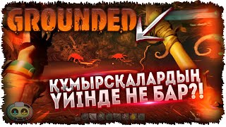 Құмырсқалардың илеуі қандай болады?! #2