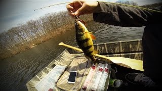 back on the water Fishing bass pickerel perch