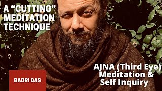 Ajna Third Eye Meditation & Self Inquiry - a “Cutting” meditation technique with Badri Das